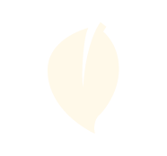 Symbol-miljöinfo